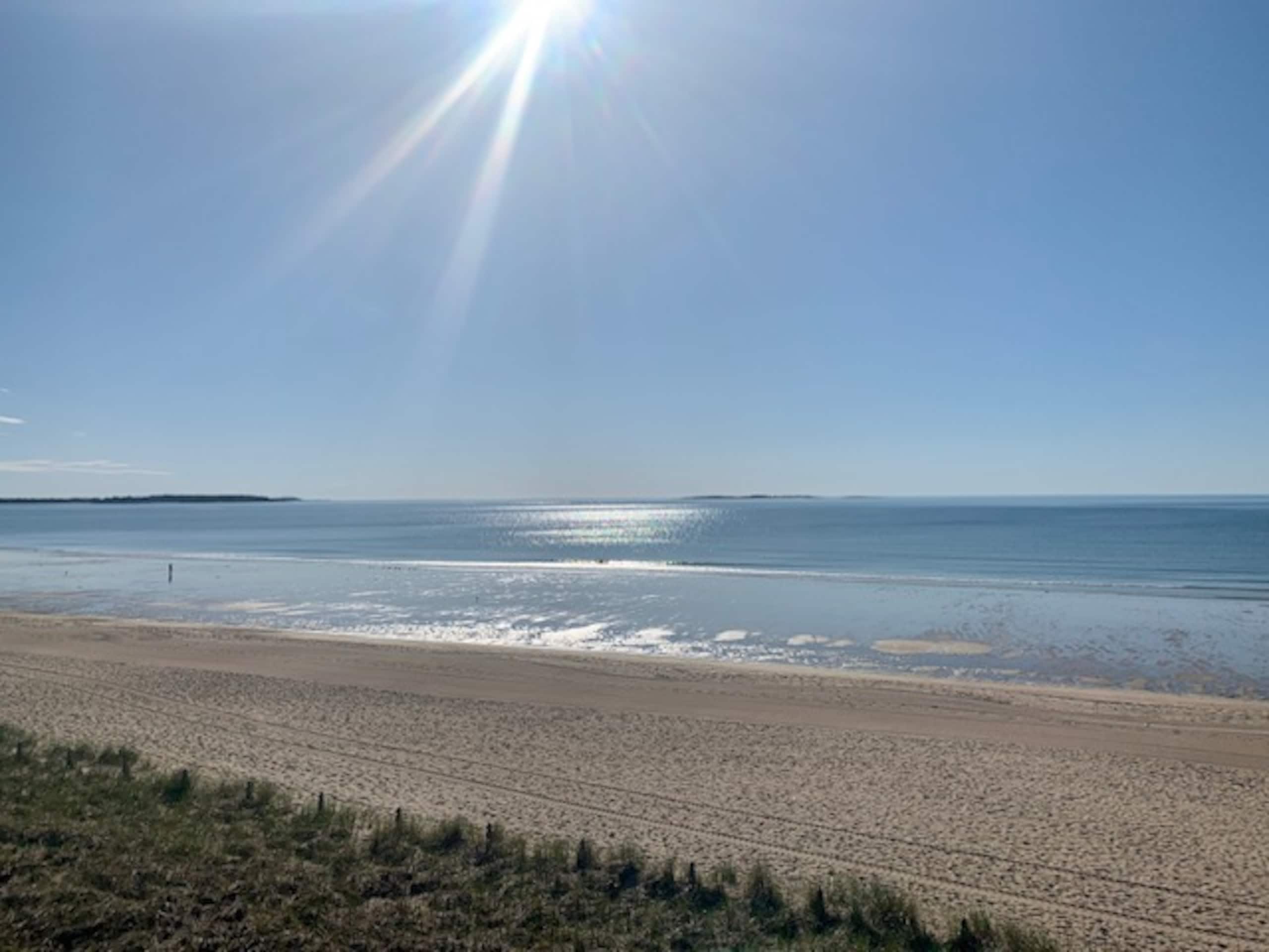Old Orchard Beach shoreline on a clear day